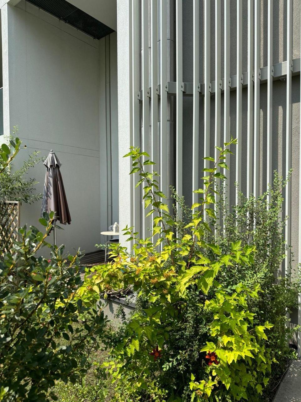 Cosy Splendor / City Center 格拉茨 外观 照片